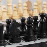 Игра 2в1 шахматы + шашки 