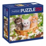 Пазлы ХАТБЕР А3 250 элементов 
