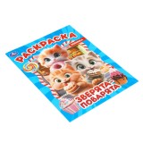 Раскраска УМКА 