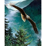 Набор для раскрашивания по номерам PAINTBOY 