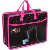 Папка для тетрадей, ИЗО и технологии А4 deVENTE Папка для тетрадей, ИЗО и технологии А4 deVENTE