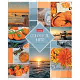 Тетрадь А5 48 л. клетка ХАТБЕР 