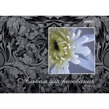 Альбом для рисования ХАТБЕР А4 48 листов Альбом для рисования ХАТБЕР А4 48 листов