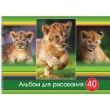 Альбом для рисования ХАТБЕР А3 40 листов 