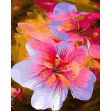 Набор для раскрашивания по номерам PAINTBOY Набор для раскрашивания по номерам PAINTBOY