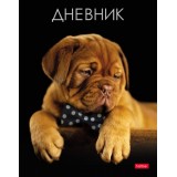 Дневник школьный ХАТБЕР А5 