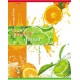 Тетрадь А5 48 л. клетка ХАТБЕР 