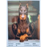 Набор для раскрашивания по номерам PAINTBOY 