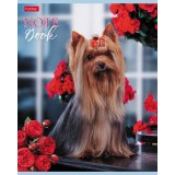 Тетрадь А5 60л. клетка ХАТБЕР Тетрадь А5 60л. клетка ХАТБЕР