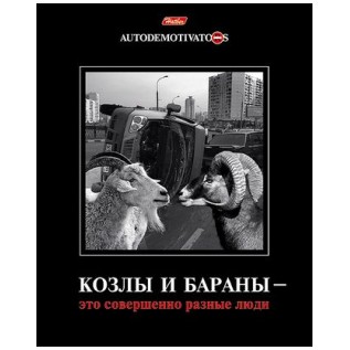 Тетрадь А5 48 л. клетка ХАТБЕР 