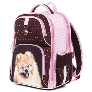 Рюкзак Hatber COMFORT-Смешные любимцы- 37X32X19 СМ EVA , светоотраж. 2 отделения 4 кармана (NRk_2405