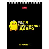 Блокнот ХАТБЕР А6 40л. клетка, 