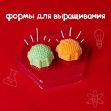 Набор для опытов 