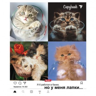 Тетрадь А5 48 л. клетка ХАТБЕР 