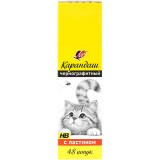Карандаш чернографитный ЛУЧ HB, с ластиком, трехгранный, неоновый корпус (35С 2362-08)