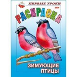 Раскраска А5 ХАТБЕР 