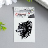 Татуировка на тело TOOMIX 