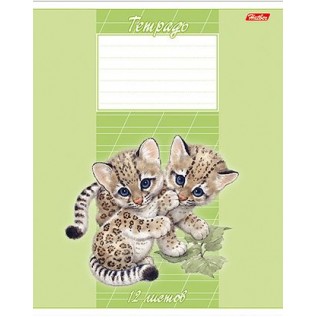 Тетрадь А5 12 л. косая линия ХАТБЕР 